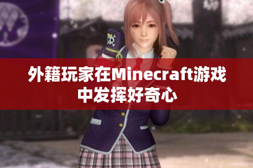 外籍玩家在Minecraft游戏中发挥好奇心