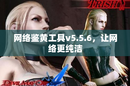 网络鉴黄工具v5.5.6，让网络更纯洁