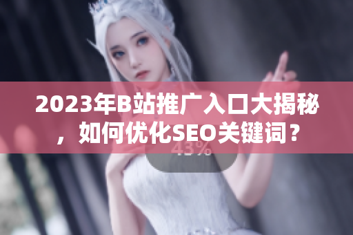 2023年B站推广入口大揭秘，如何优化SEO关键词？