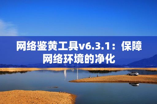 网络鉴黄工具v6.3.1：保障网络环境的净化
