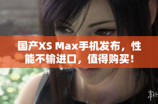 国产XS Max手机发布，性能不输进口，值得购买！