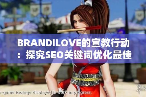 BRANDILOVE的宣教行动：探究SEO关键词优化最佳实践