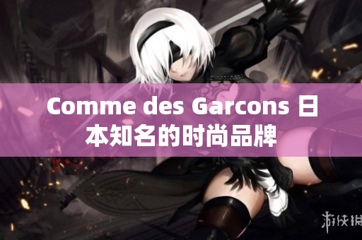 Comme des Garcons 日本知名的时尚品牌