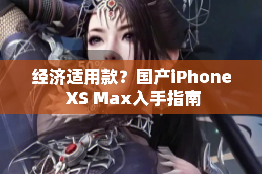 经济适用款？国产iPhone XS Max入手指南