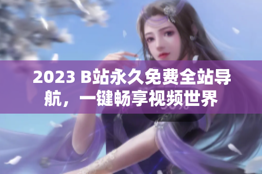 2023 B站永久免费全站导航，一键畅享视频世界