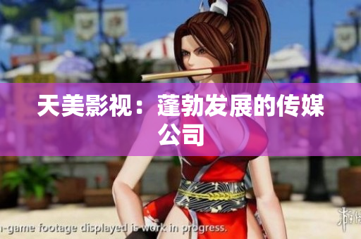 天美影视：蓬勃发展的传媒公司
