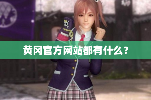 黄冈官方网站都有什么？