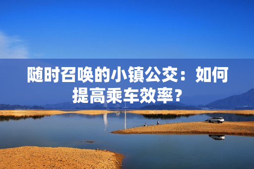 随时召唤的小镇公交：如何提高乘车效率？