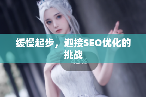 缓慢起步，迎接SEO优化的挑战