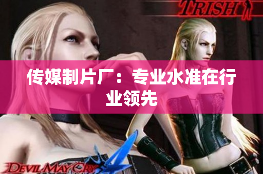 传媒制片厂：专业水准在行业领先