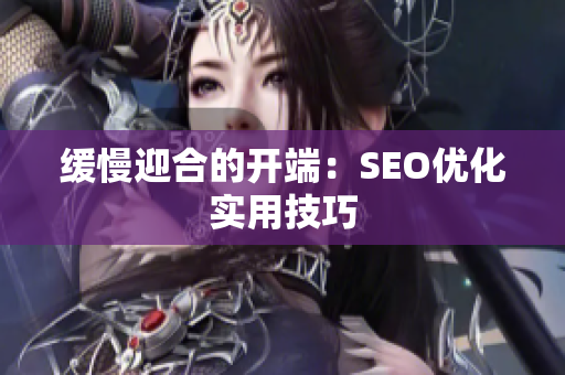 缓慢迎合的开端：SEO优化实用技巧