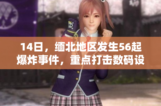14日，缅北地区发生56起爆炸事件，重点打击数码设备，查明凶手中……