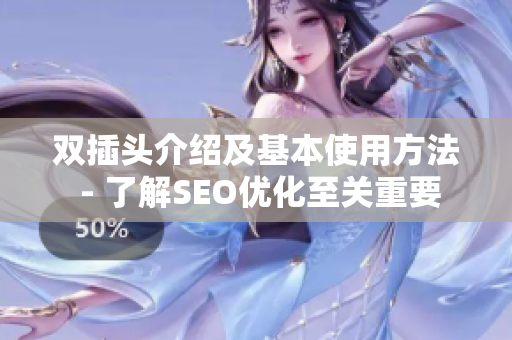 双插头介绍及基本使用方法 - 了解SEO优化至关重要