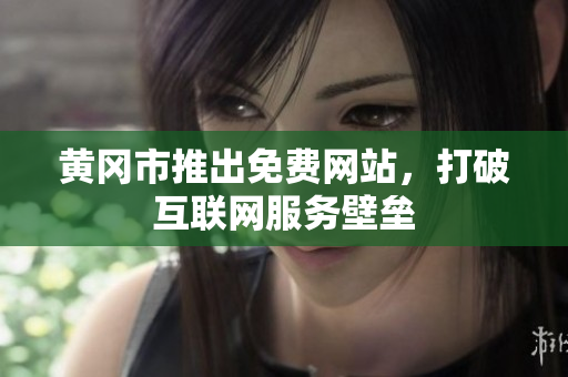 黄冈市推出免费网站，打破互联网服务壁垒