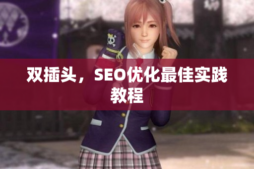 双插头，SEO优化最佳实践教程