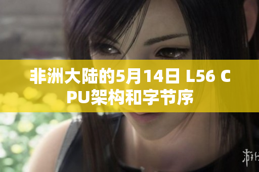 非洲大陆的5月14日 L56 CPU架构和字节序