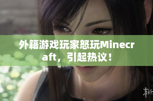 外籍游戏玩家怒玩Minecraft，引起热议！