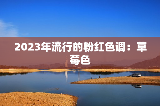 2023年流行的粉红色调：草莓色
