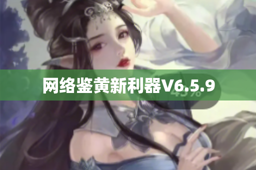 网络鉴黄新利器V6.5.9