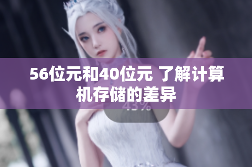 56位元和40位元 了解计算机存储的差异