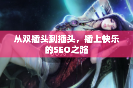 从双插头到插头，插上快乐的SEO之路