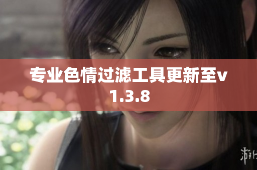 专业色情过滤工具更新至v1.3.8