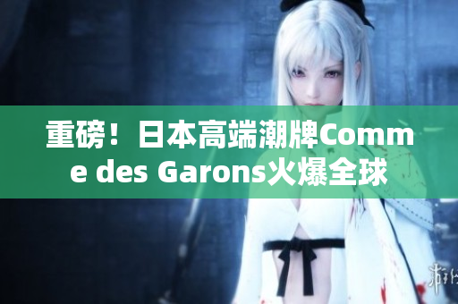 重磅！日本高端潮牌Comme des Garons火爆全球