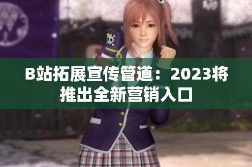 B站拓展宣传管道：2023将推出全新营销入口