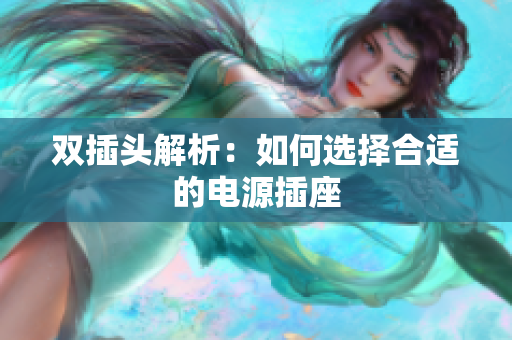 双插头解析：如何选择合适的电源插座