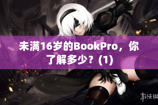 未满16岁的BookPro，你了解多少？(1)