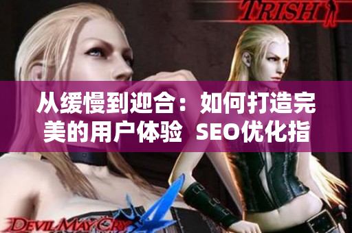 从缓慢到迎合：如何打造完美的用户体验  SEO优化指南