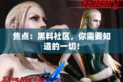 焦点：黑料社区，你需要知道的一切！