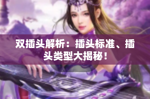 双插头解析：插头标准、插头类型大揭秘！