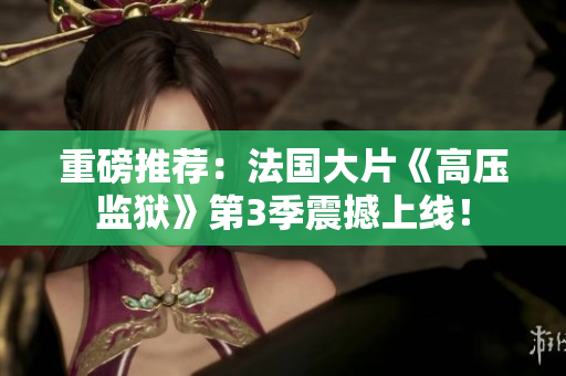 重磅推荐：法国大片《高压监狱》第3季震撼上线！