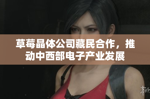 草莓晶体公司藏民合作，推动中西部电子产业发展