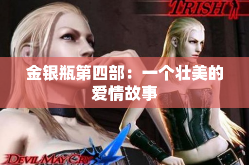 金银瓶第四部：一个壮美的爱情故事