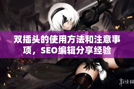 双插头的使用方法和注意事项，SEO编辑分享经验