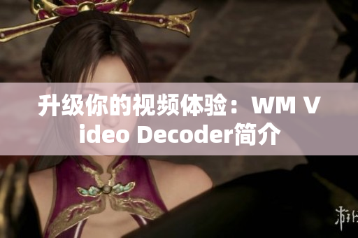 升级你的视频体验：WM Video Decoder简介