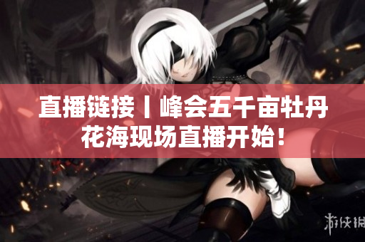 直播链接丨峰会五千亩牡丹花海现场直播开始！