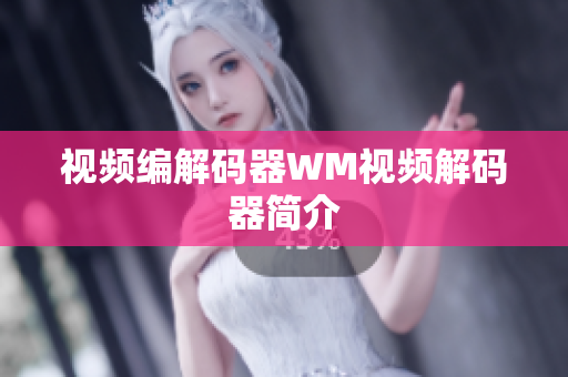视频编解码器WM视频解码器简介