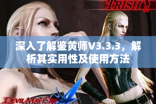 深入了解鉴黄师V3.3.3，解析其实用性及使用方法