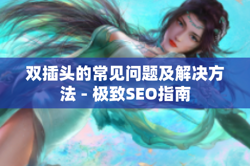 双插头的常见问题及解决方法 - 极致SEO指南