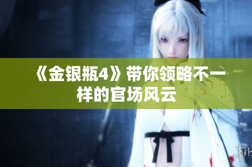 《金银瓶4》带你领略不一样的官场风云