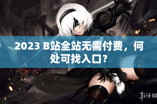 2023 B站全站无需付费，何处可找入口？