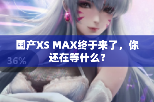国产XS MAX终于来了，你还在等什么？