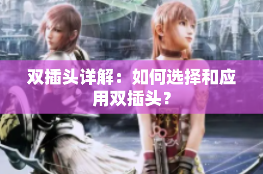 双插头详解：如何选择和应用双插头？