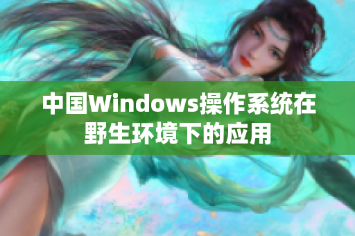 中国Windows操作系统在野生环境下的应用