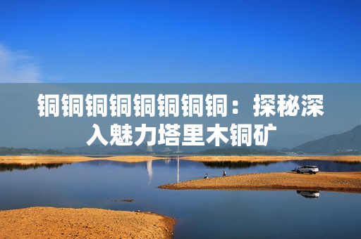 铜铜铜铜铜铜铜铜：探秘深入魅力塔里木铜矿