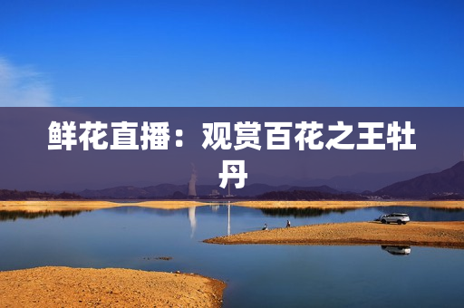 鲜花直播：观赏百花之王牡丹
