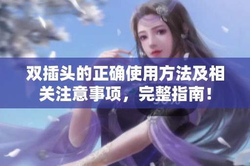 双插头的正确使用方法及相关注意事项，完整指南！